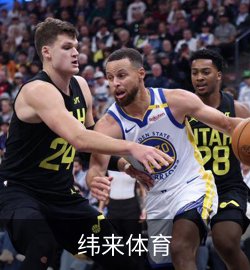 案例纬来体育
